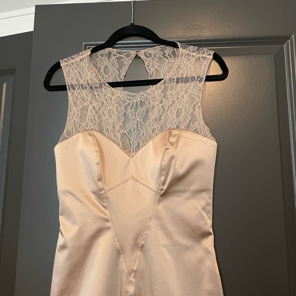 Bebe Nude Metallic Lace Bodycon Mini Dress